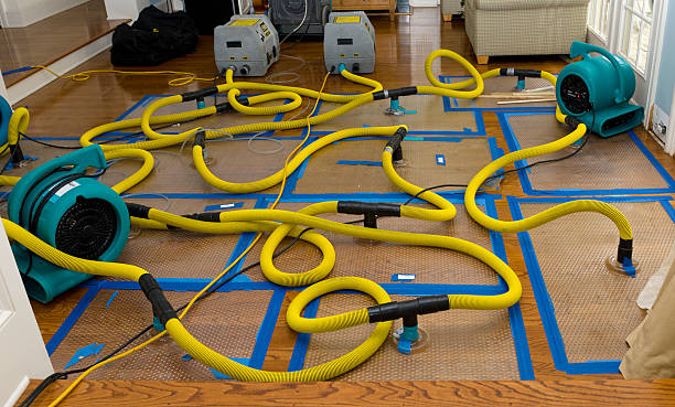 Professional Water Damage Restoration technician working in Urbana, OH